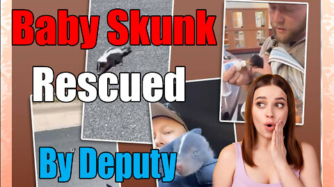 news of the bizarre Minnesota Deputy🚓 Rescues Baby Skunk🦨