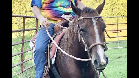 Colt gives owner the evil eye for letting someone else ride him.