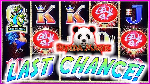 LAST CHANCE LOVE LEADS TO HUGE COMEBACK WIN! Dragon Link Panda Magic Slot