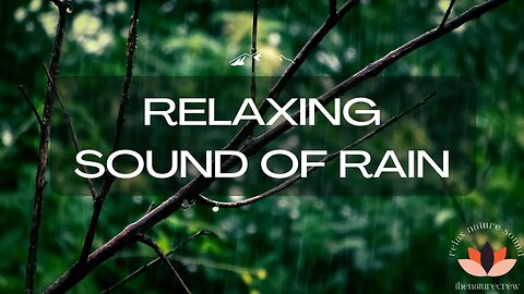 Forest rain sounds, relax, ambiance, white noise, sleep better