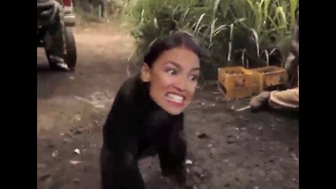 AOC Destroys the Democratic Party