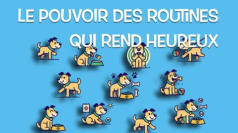 ROUTINE PARFAITE pour ton chien!✨