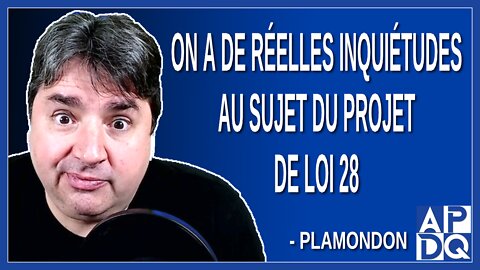 On a de réelles inquiétudes au sujet de projet de loi 28. Dit Plamondon