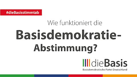 Wie funktioniert die Basisdemokratie - Abstimmung ?