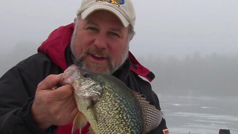 Big Late Ice Wisconsin Bluegill