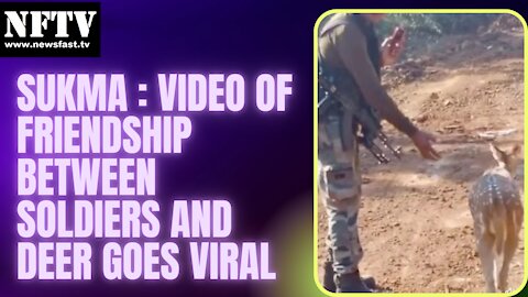 Sukma I Video of friendship between soldiers and deer goes viral