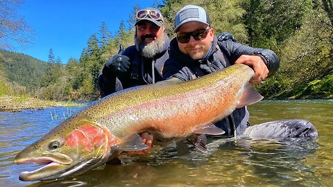 Crazy MONSTER Steelhead FISHING! Epic BOBBER DOWNS! (NEW PB HATCHERY?)