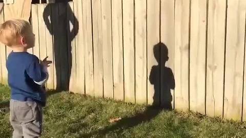 EXTRA: Adorable toddler plays fetch with dog despite backyard fence