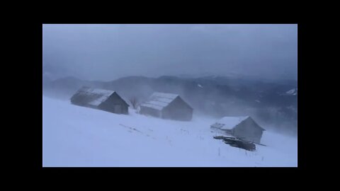 Winter Storm Ambience with Icy Howling Wind Sounds for Sleeping, Relaxing and Studying Background