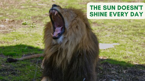 the sun doesn't shine every day: Motivational Speech.