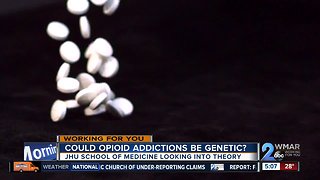 Could opioid addiction be genetic?