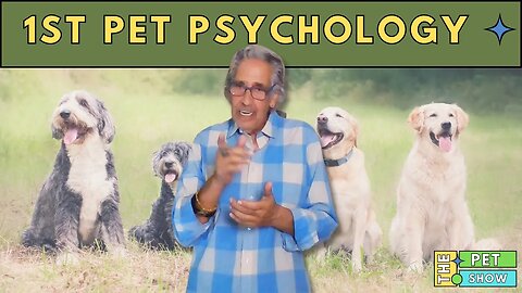 1st Pet Psychology