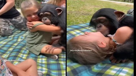 This Baby Monkey Loves Cuddling With Kids