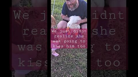 we don't kiss birds #shorts shor #video #homestead #farm #ducks #kiss