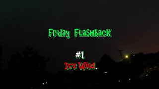 Friday Flashback #1