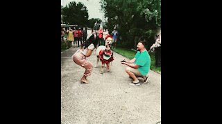 Alpaca birthday gift turns into surprise wedding proposal