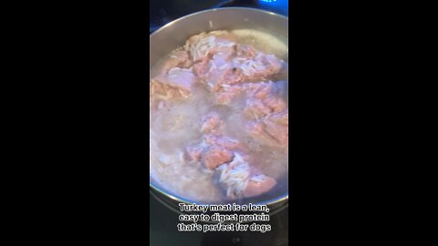 Homemade Ground Turkey And Rice Dog Food Recipe