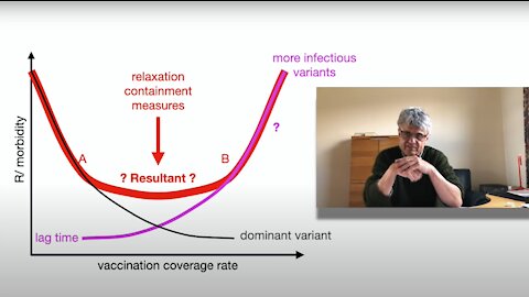 The insidious face of a pandemic of variants (Re-Upload Dr. Geert Vanden Bossche)