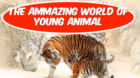 The amazing world of young animal and pets#animals- 100.00%