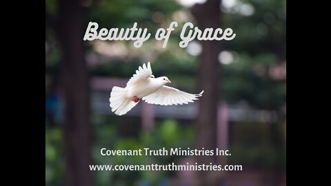 Beauty of Grace - Lesson 26 - The Commission of Grace