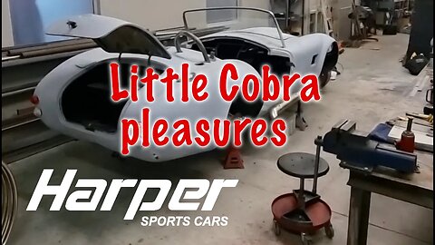 Little Cobra Pleasures