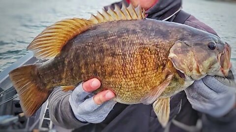 Fishing The LAND of GIANTS!! (SMALLMOUTH Edition)