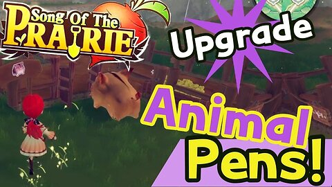 Song of the Prairie How To Upgrade Animal Pen