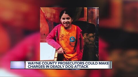 Detroit leaders looking at changes after child mauled to death by dogs