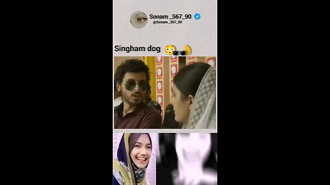 Singham dog 🐕😳🕶️👌 #funny #memes #comedy #jokes #memesdaliy #darkmemes funnydog #funnyanimels