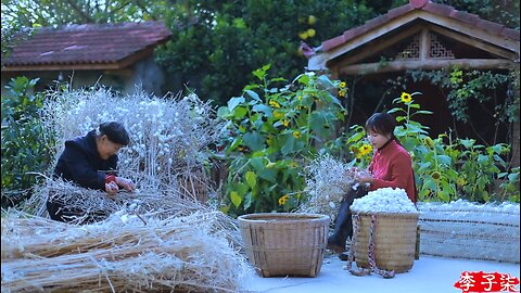 Cocooned Elegance: Unveiling the Ancient Art of Sericulture and Silk Quilts"