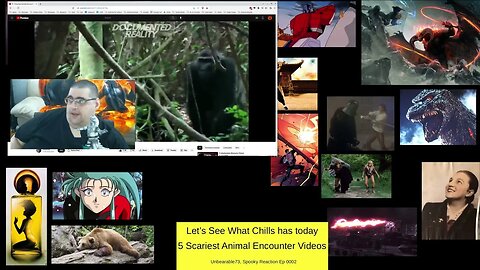 SR 0002 Chills 5 Scariest Animal Encounter Videos,