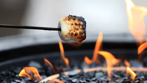 Don't Roast Marshmallows Over Steaming Hot Volcanic Vents, USGS Says