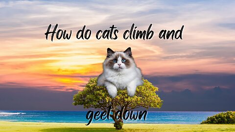 how do cats climb trees