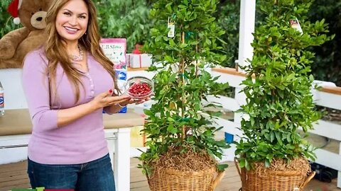 MIRACLE BERRY PLANT MAKES BITTER FOODS TASTE SWEET!