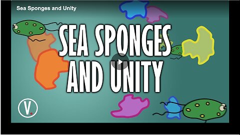 Know more about sea sponges.