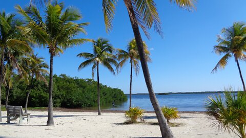 John Pennekamp Coral Reef State Park in the Florida Keys