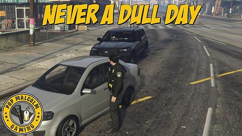 Every side of the law | GTAV RP Delirium