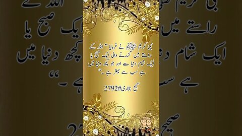 Hadees | Sahi Bukhari 2792 | #islam #youtubeshorts #youtube #ytshorts