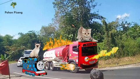 Truck Tangki, Truck Oleng, Bis, Berubah Jadi Temannya Tayo