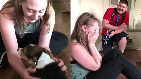 Woman Surprised With A Puppy & A Proposal