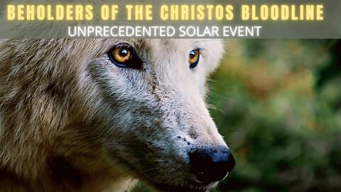 Beholders of the Christos Bloodline ~ UNPRECEDENTED SOLAR EVENT!! Kin 170: White Magnetic Dog