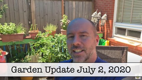 Garden Update From July 2, 2020