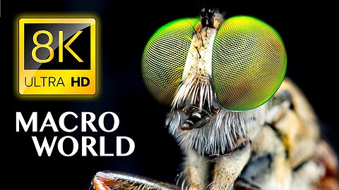 SUPER MACRO WORLD in 8K ULTRA HD