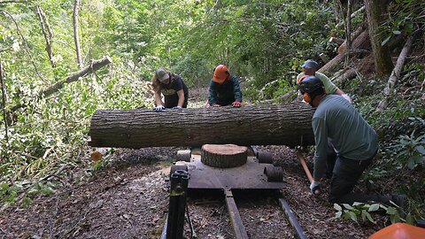 Logging Time-lapse In The Doe River Gorge