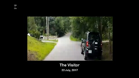 The Visitor