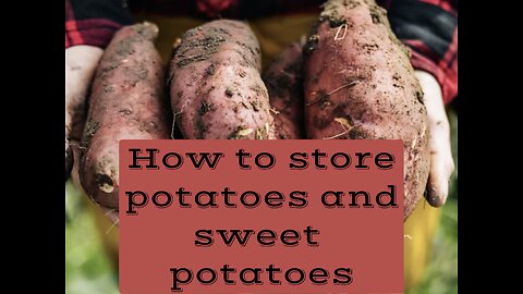 How to store potatoes and sweet potatoes?.