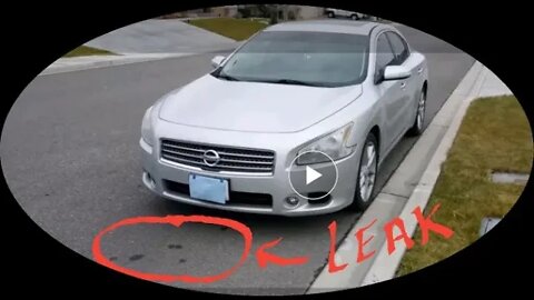 How to: finding power steering leak (high pressure hose)//2010 Nissan Maxima