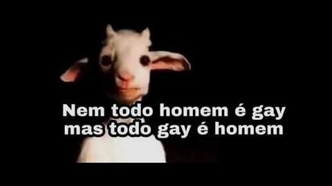 Memes em imagens #19 - Nem todo homem é gay