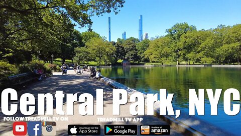 Central Park Virtual Run with Adam NYC