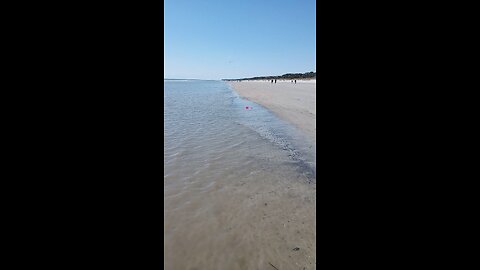 Hilton Head Island Park